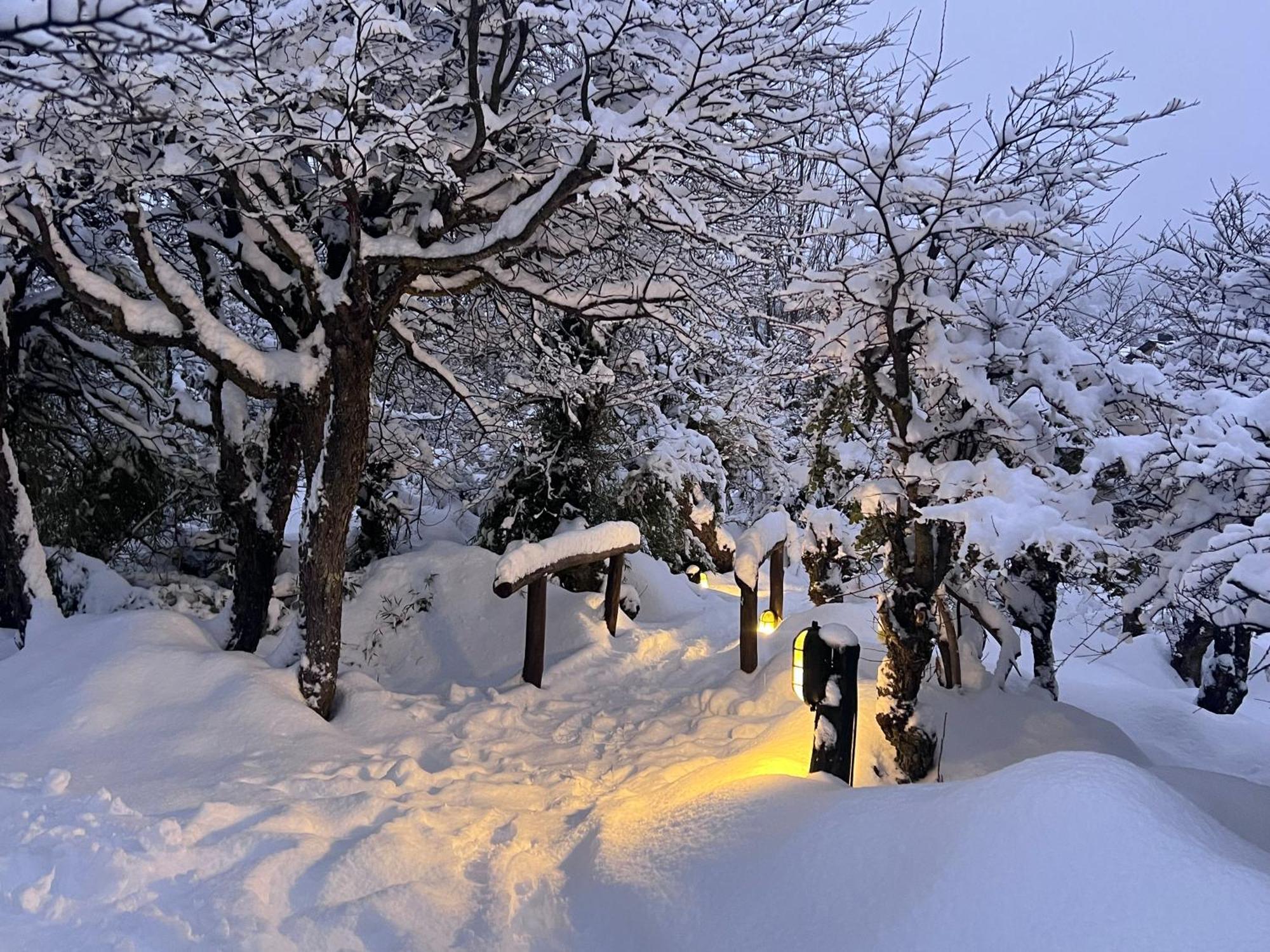 Los Nires Lodge Cerro Catedral San Carlos de Bariloche Bagian luar foto